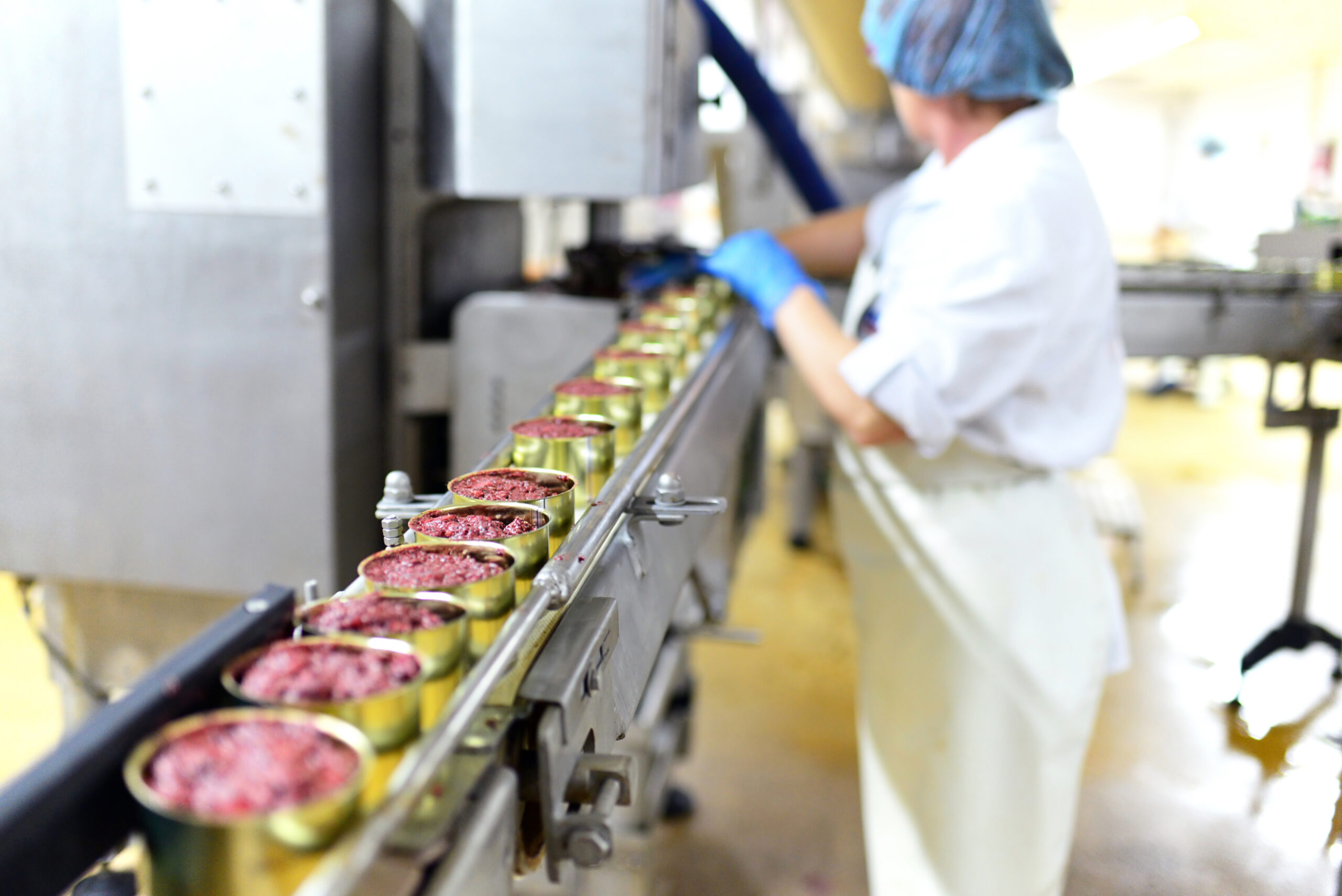 Produktion von Fertigessen-Dosenfleisch in einer industriellen F